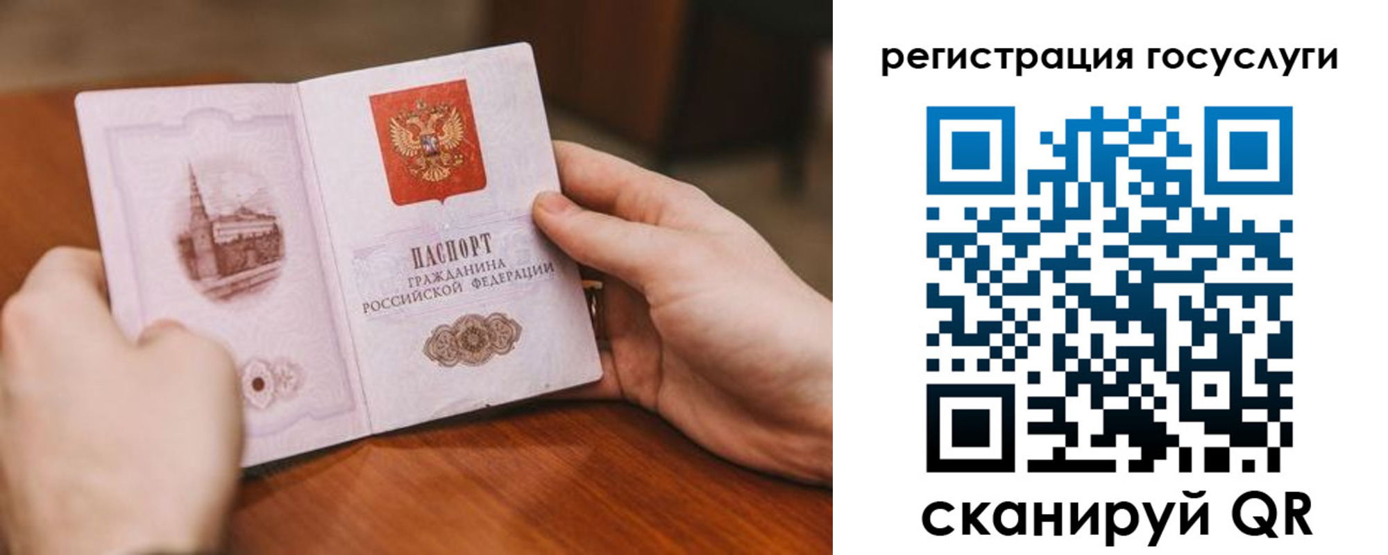 прописка поиск в Пущино